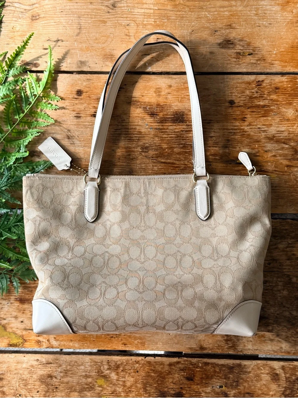 Coach light cream